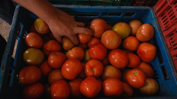 Uma mão tenta alcançar cestas com tomates